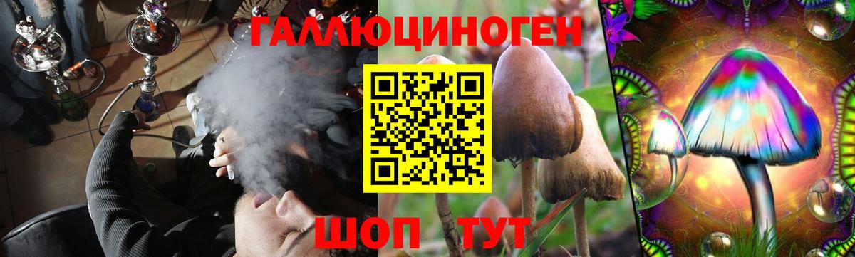 Псилоцибиновые грибы прущие грибы  Галлюциногенные грибы GOLDEN TEACHER  где можно купить   Сочи  Вход с VPN 